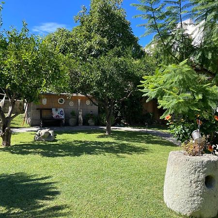 Garden Apartments Ischia Super Centrale Forio di Ischia Zewnętrze zdjęcie