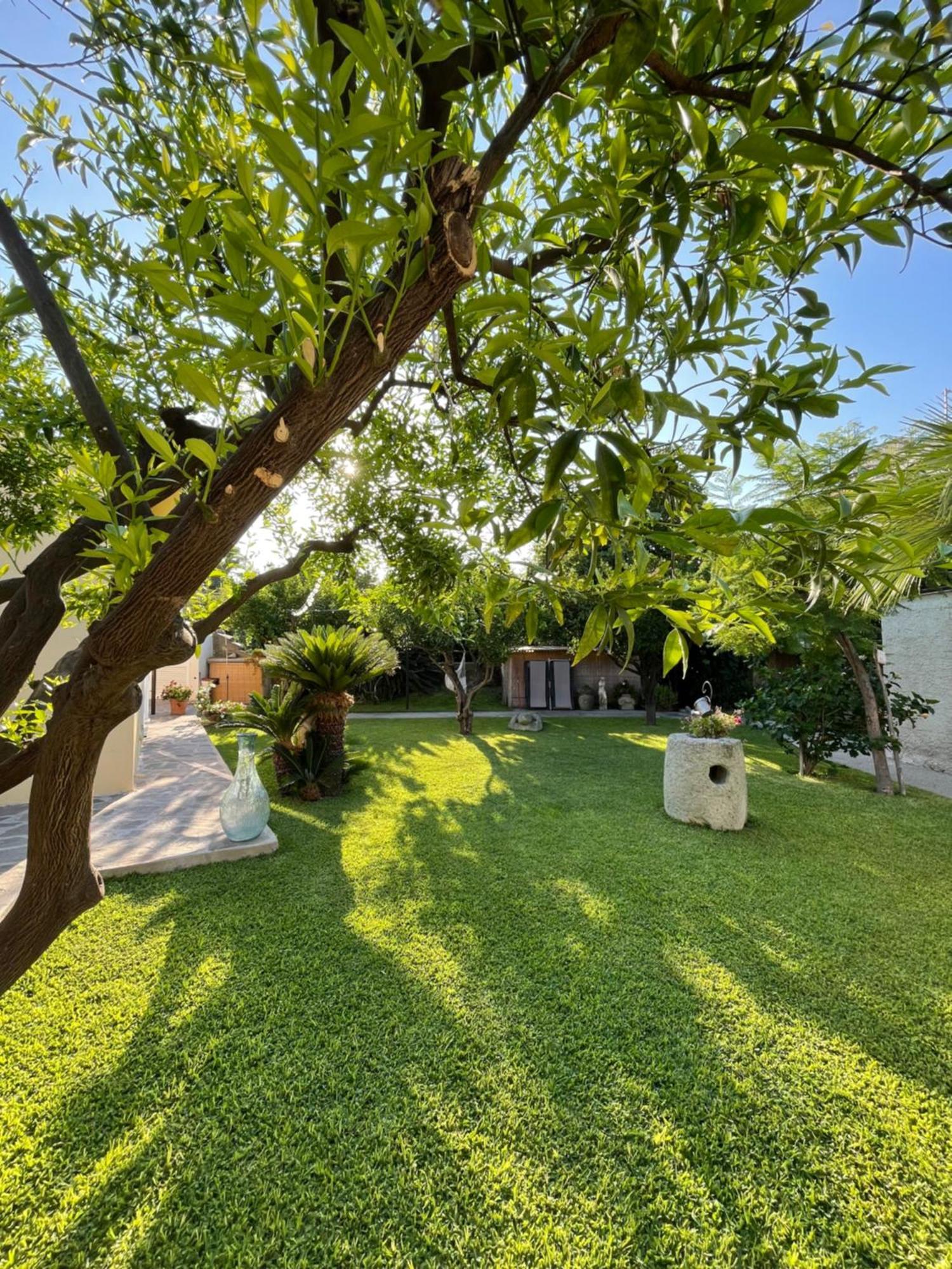 Garden Apartments Ischia Super Centrale Forio di Ischia Zewnętrze zdjęcie